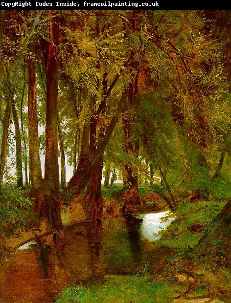 Charles Blechen Woodland with Brook